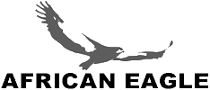 East African Eagle (T) Ltd