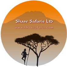 Shaw Safaris Ltd