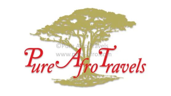 Pure Afro Travels