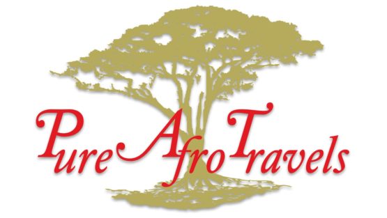 Pure Afro Travels