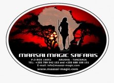 MAASAI MAGIC SAFARI COMPANY LTD