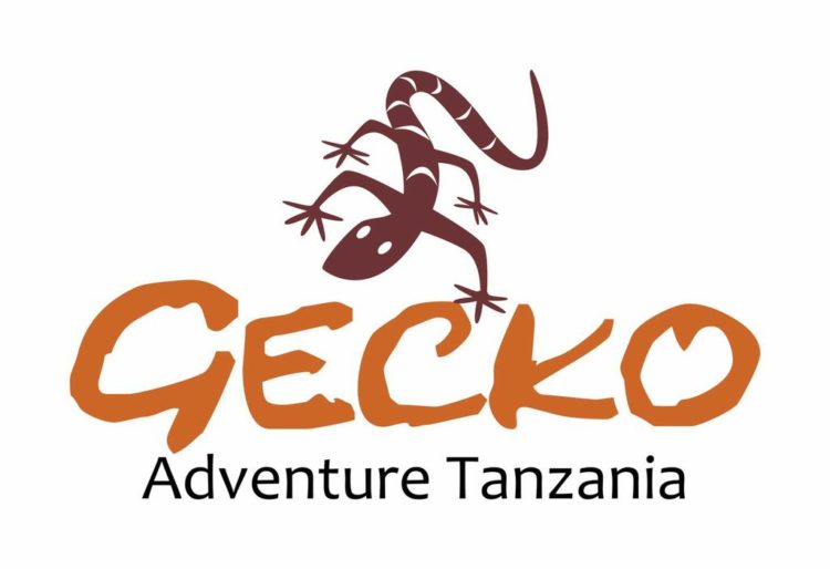 Gecko Adventure Tanzania