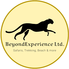 BEYOND EXPERIENCE LIMITED