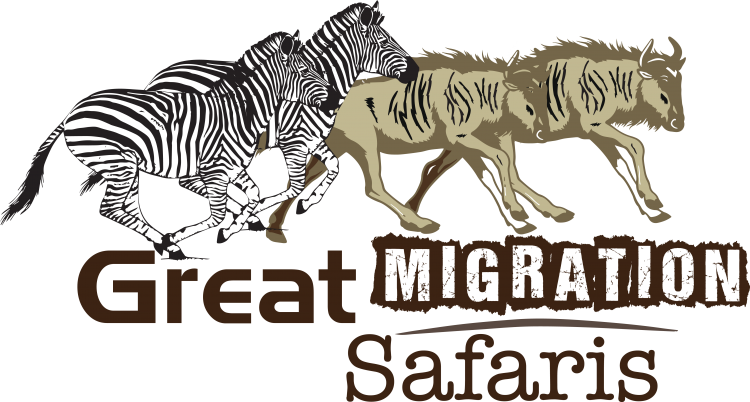 Great Migration Safaris Ltd