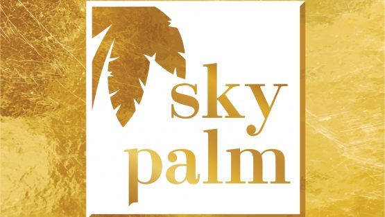 SKYPALM TRAVEL & TOURS LIMITED
