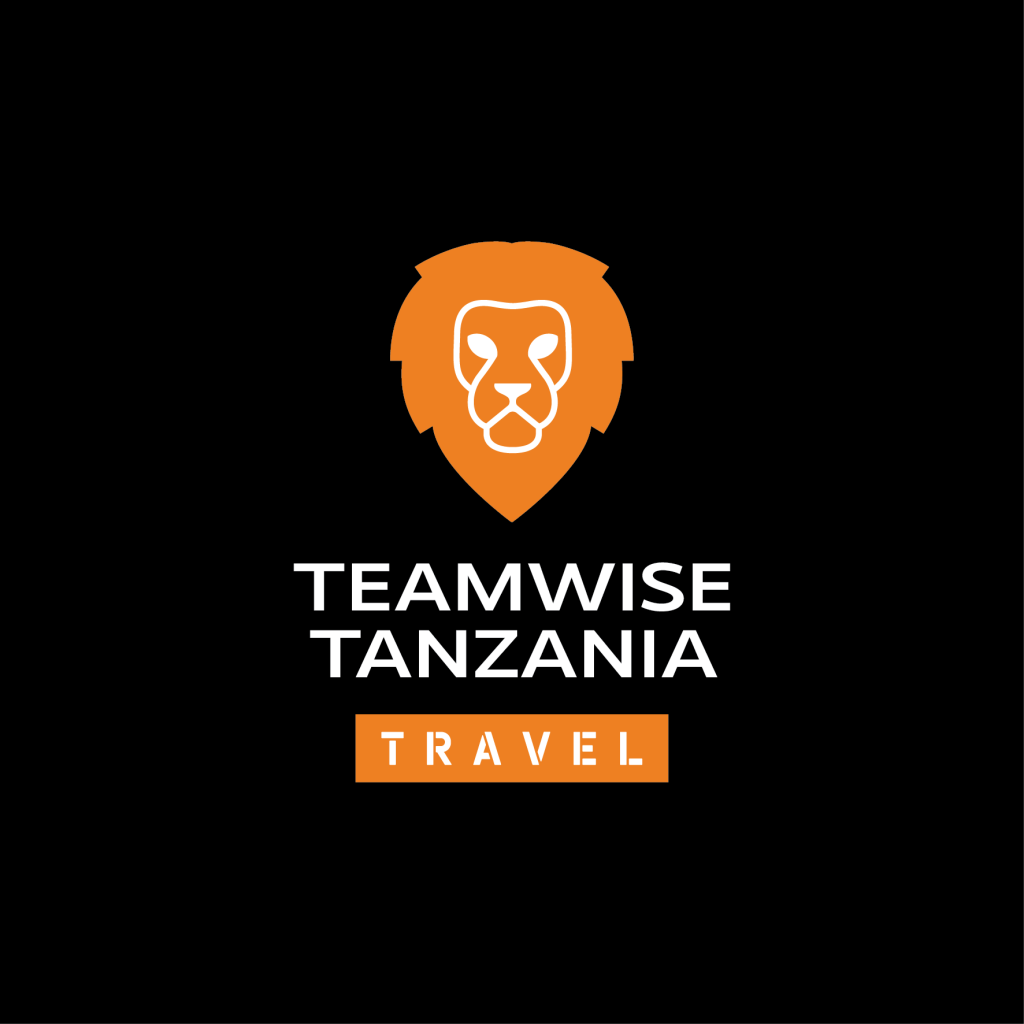 teamwise travel
