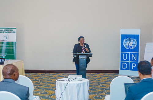 TATO-UNDP Round Table on linking Tourism Industry and Local Economic Development (LED)
