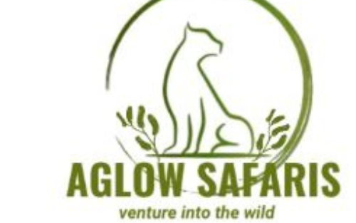 AGLOW SAFARIS Venture into the Wild 
