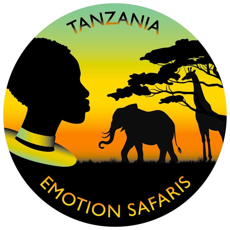 Tanzania Emotion Safari