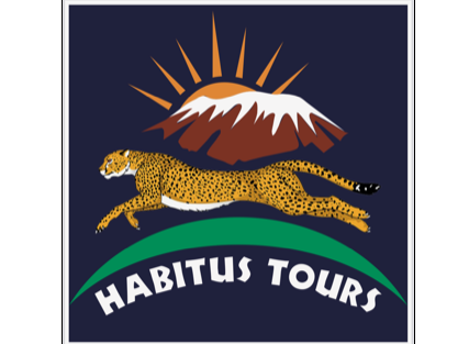 Habitus Tours