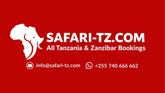 Safari-tz
