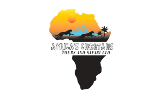 Africa’s cheetahs tours and safari Ltd