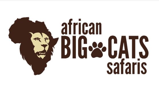 African Big Cats Safaris