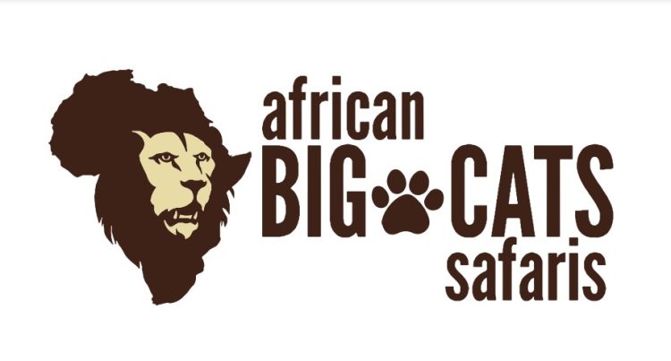 African Big Cats Safaris