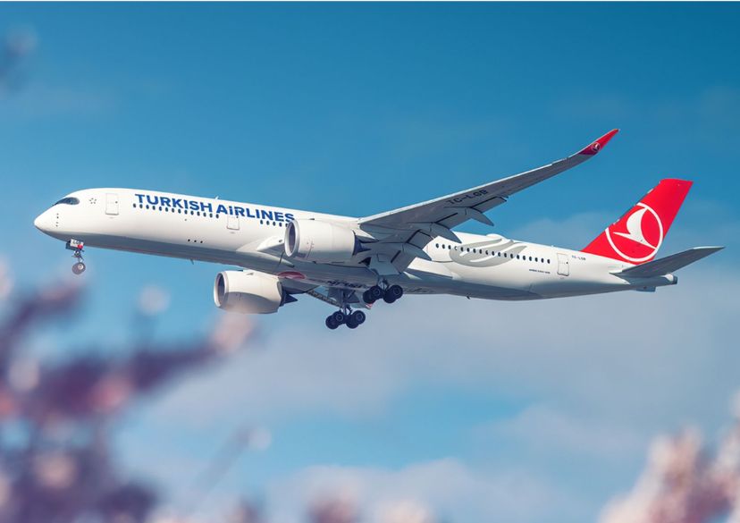 Turkish Airlines' Big Announcement: More Flights to Tanzania in 2025