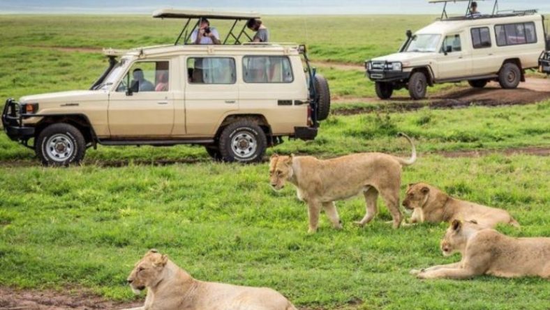 Tanzania Government Grants Grace Period for New TAWA Tourism Fees Implementation