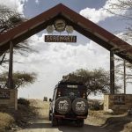 Tanzania National Parks: A Jewel of Africa’s Wildlife and Tourism