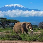 Exploring Tanzania’s Tourism Circuits: A Gateway to Diverse Adventures