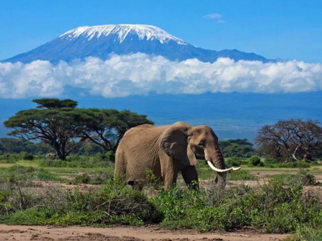 Exploring Tanzania’s Tourism Circuits: A Gateway to Diverse Adventures