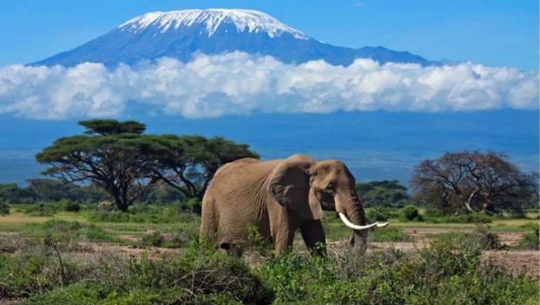 Exploring Tanzania’s Tourism Circuits: A Gateway to Diverse Adventures