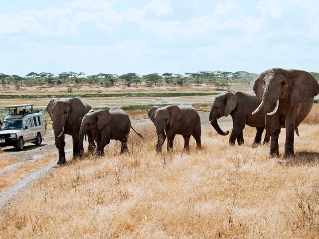 Tourism in Vision 2050: Tanzania’s Commitment to a Sustainable and Competitive Industry