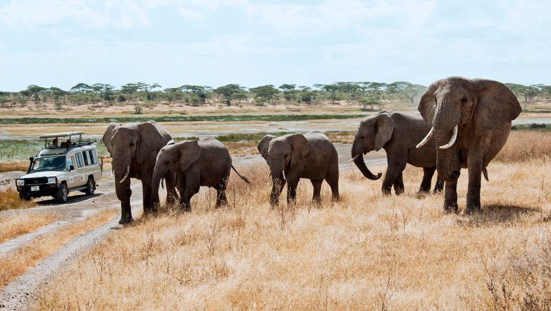 Tourism in Vision 2050: Tanzania’s Commitment to a Sustainable and Competitive Industry