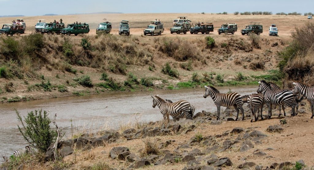 Mara River with safari Cars after ensuring Mara River Migration Crossings Guideline are followed