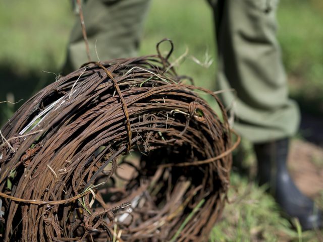 TATO Applauds Progress in De-Snaring Project in Serengeti: A Call to Action for All Tourism Stakeholders