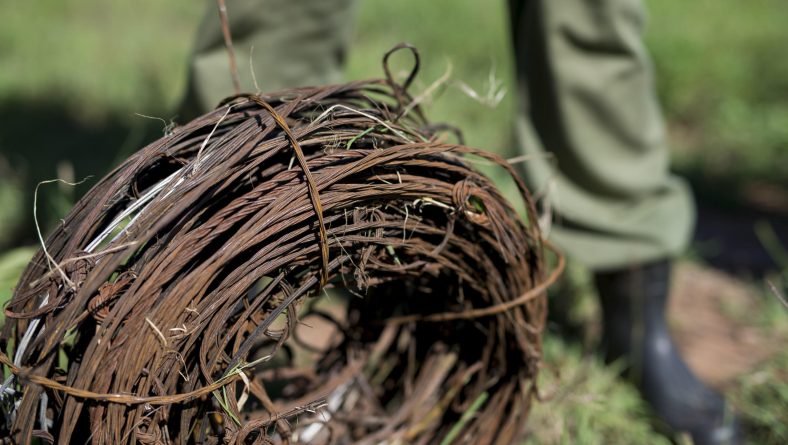 TATO Applauds Progress in De-Snaring Project in Serengeti: A Call to Action for All Tourism Stakeholders