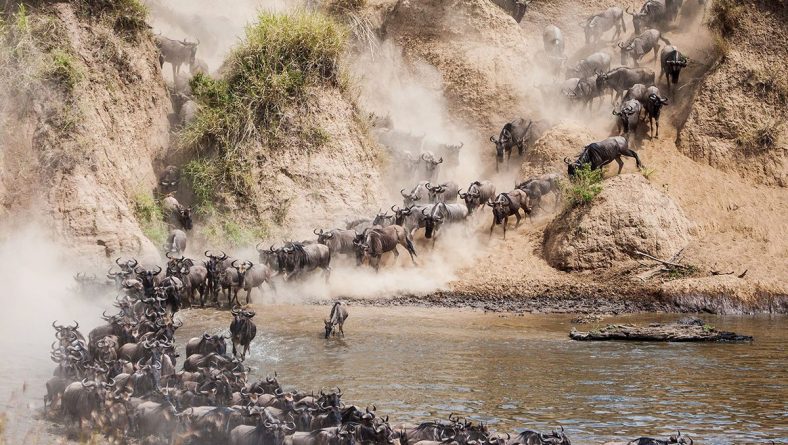 Enhancing Responsible Tourism at the Mara River – Mara River Migration Crossings Guideline