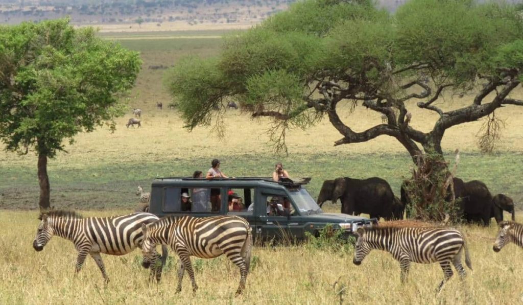 The Western Tourism Circuit: Tanzania’s Untapped Safari Frontier