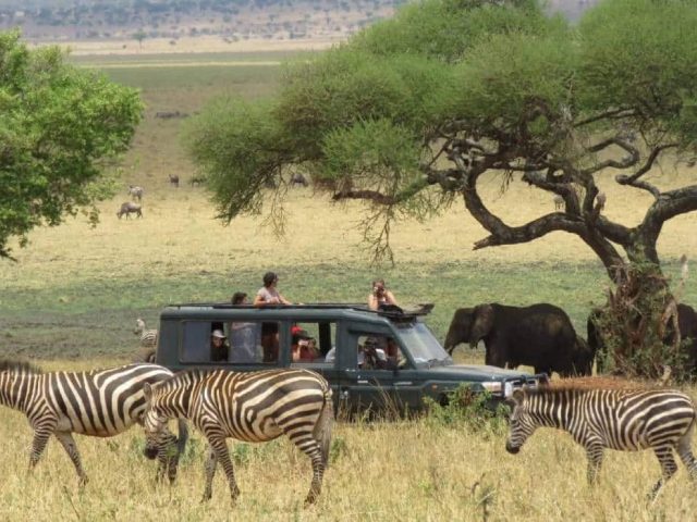The Western Tourism Circuit: Tanzania’s Untapped Safari Frontier