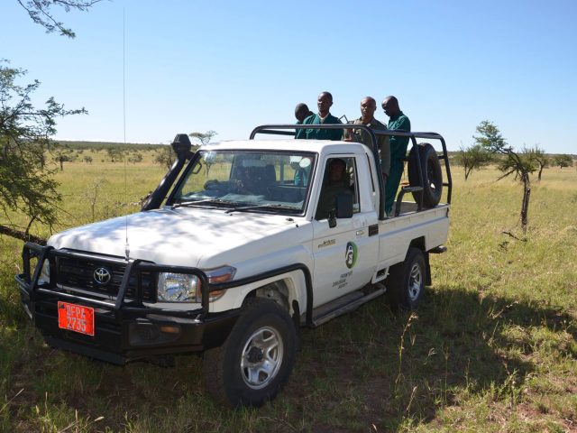 Serengeti De-Snaring Program: A Powerful Alliance Protecting Tanzania’s Wildlife Heritage