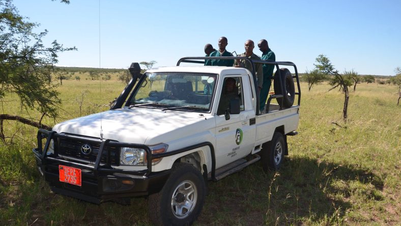 Serengeti De-Snaring Program: A Powerful Alliance Protecting Tanzania’s Wildlife Heritage