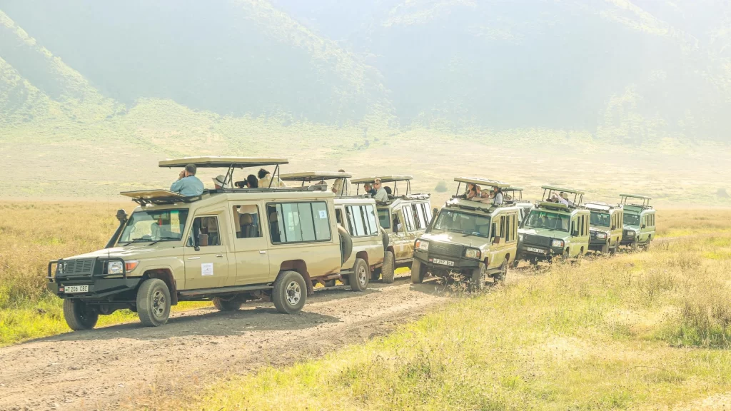 Understanding Tanzania Tourism Business License Fee Structure