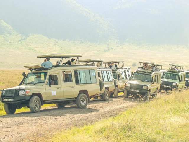 Understanding Tanzania Tourism Business License Fee Structure and It’s Implications for the Industry