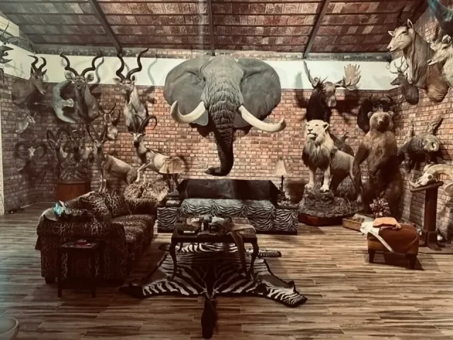 Promoting Responsible Tourism: Understanding Wildlife Trophy Regulations in Tanzania and the Role of TATO