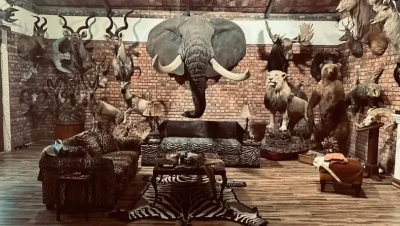 Promoting Responsible Tourism: Understanding Wildlife Trophy Regulations in Tanzania and the Role of TATO