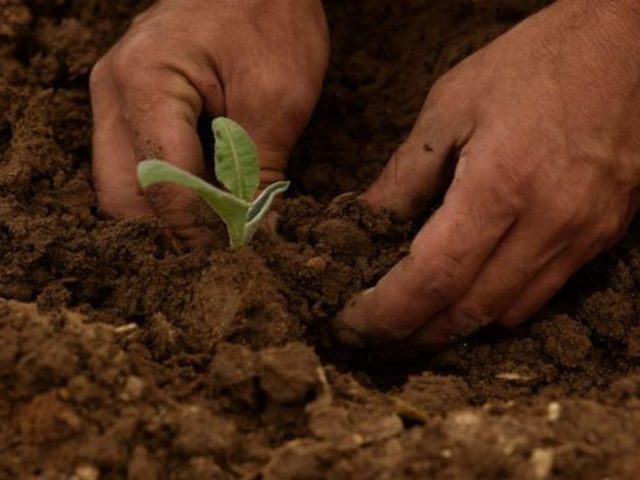 Is Sustainable Tourism Enough Anymore? Exploring the Rise of Regenerative Tourism