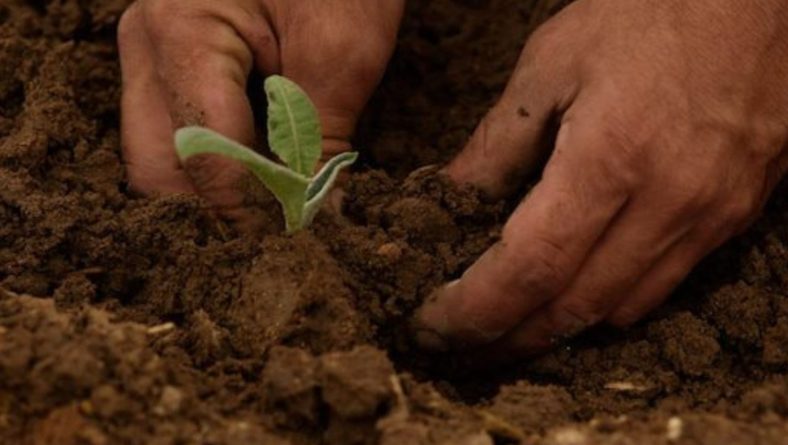 Is Sustainable Tourism Enough Anymore? Exploring the Rise of Regenerative Tourism