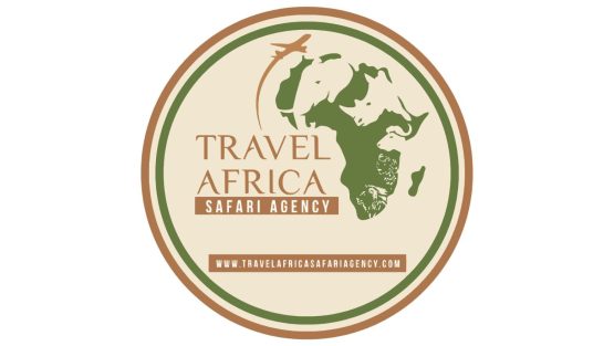Game Drive Travel Africa Safari Agency
