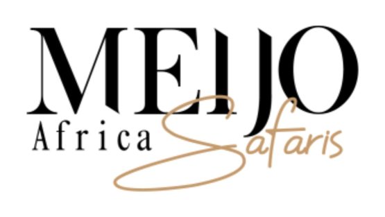 Vision Safari & Tours