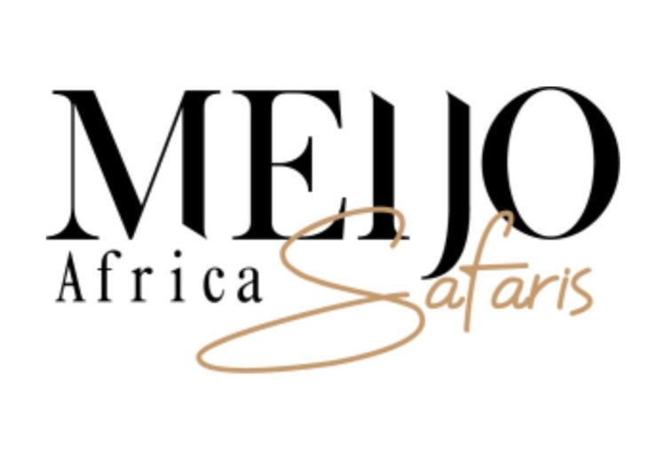 Vision Safari & Tours