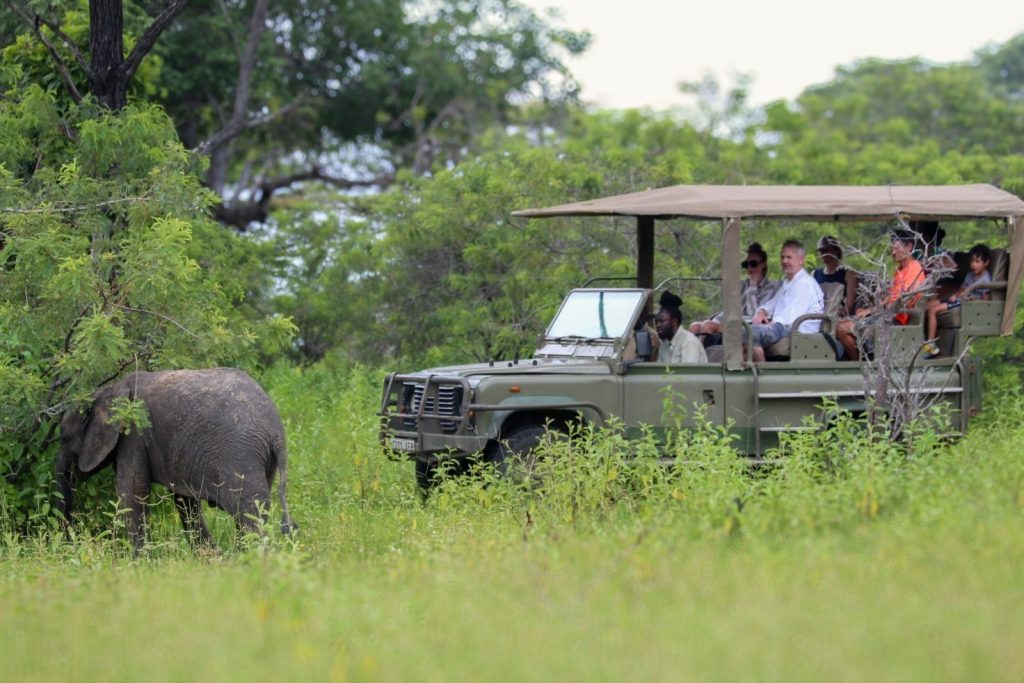 Beyond the Northern Circuit: Discover Tanzania’s Hidden Safari Treasures and Why the Future of Tourism Lies Across Every Tourism Circuit