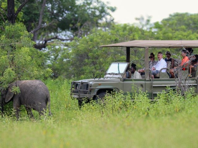 Beyond the Northern Circuit: Discover Tanzania’s Hidden Safari Treasures and Why the Future of Tourism Lies Across Every Tourism Circuit