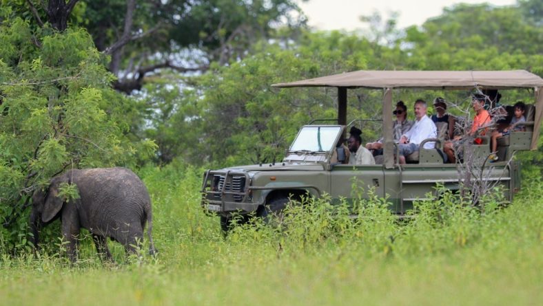 Beyond the Northern Circuit: Discover Tanzania’s Hidden Safari Treasures and Why the Future of Tourism Lies Across Every Tourism Circuit