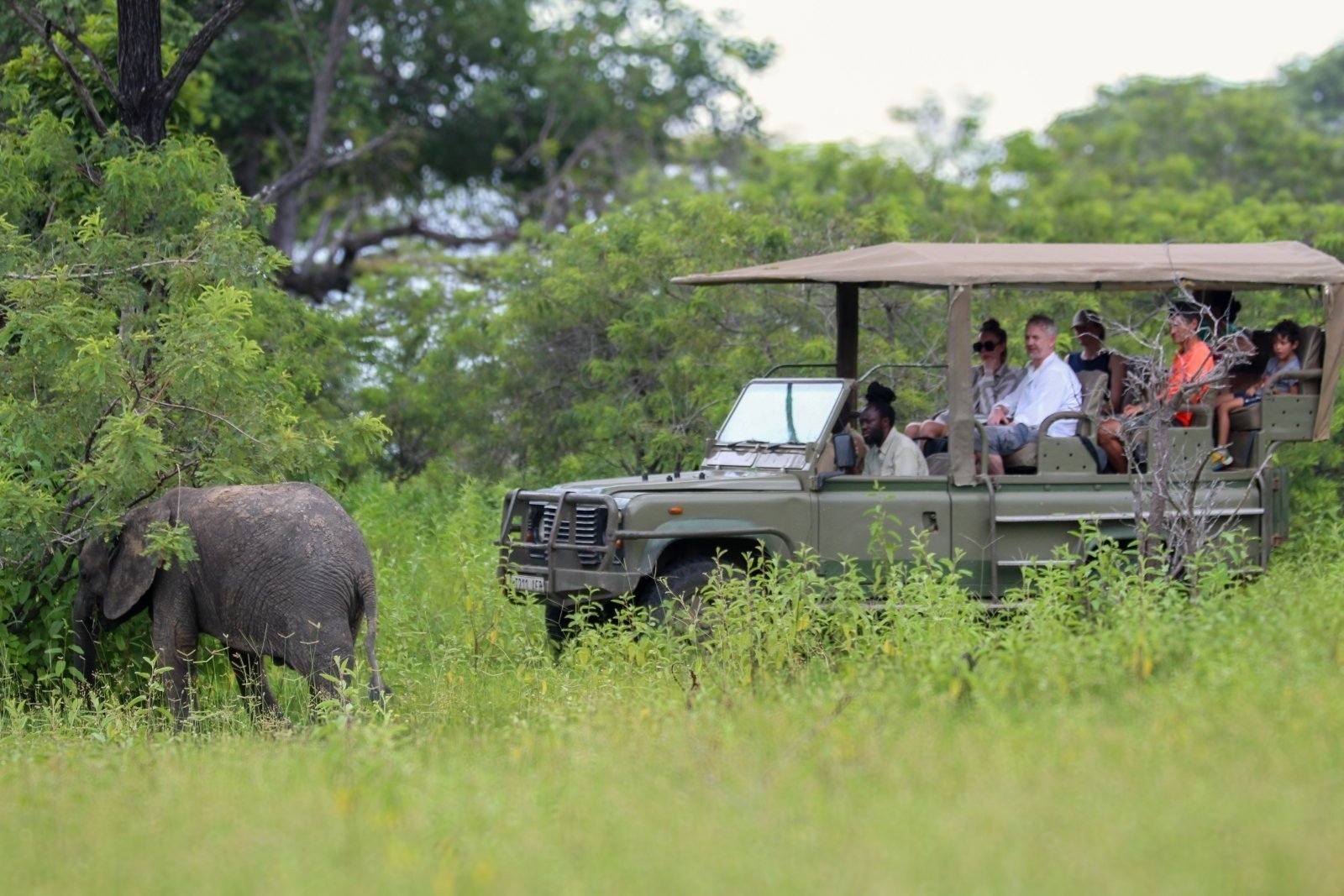 Beyond the Northern Circuit: Discover Tanzania’s Hidden Safari Treasures and Why the Future of Tourism Lies Across Every Tourism Circuit
