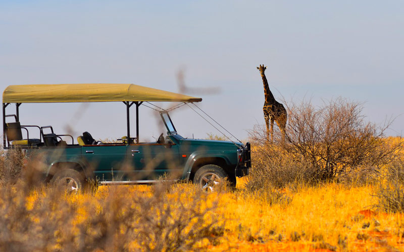 Luxury Tourism in Tanzania Involves a Serengeti Safari