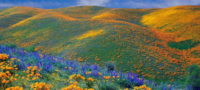 The Beauty Of Kitulo National Park