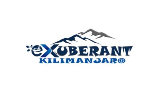Exuberant Kilimanjaro Travel